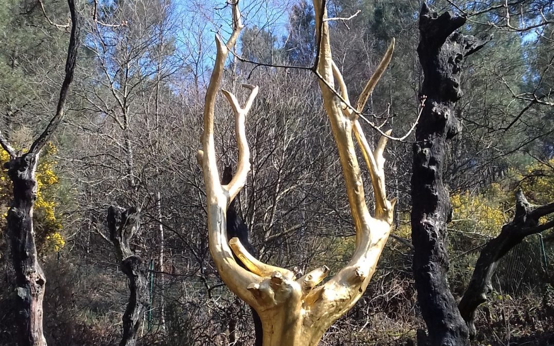 Excursion à Brocéliande !