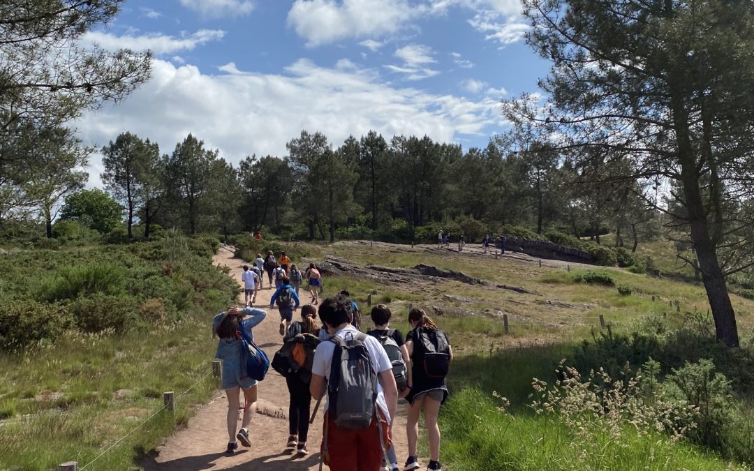 Si Brocéliande m’était conté…